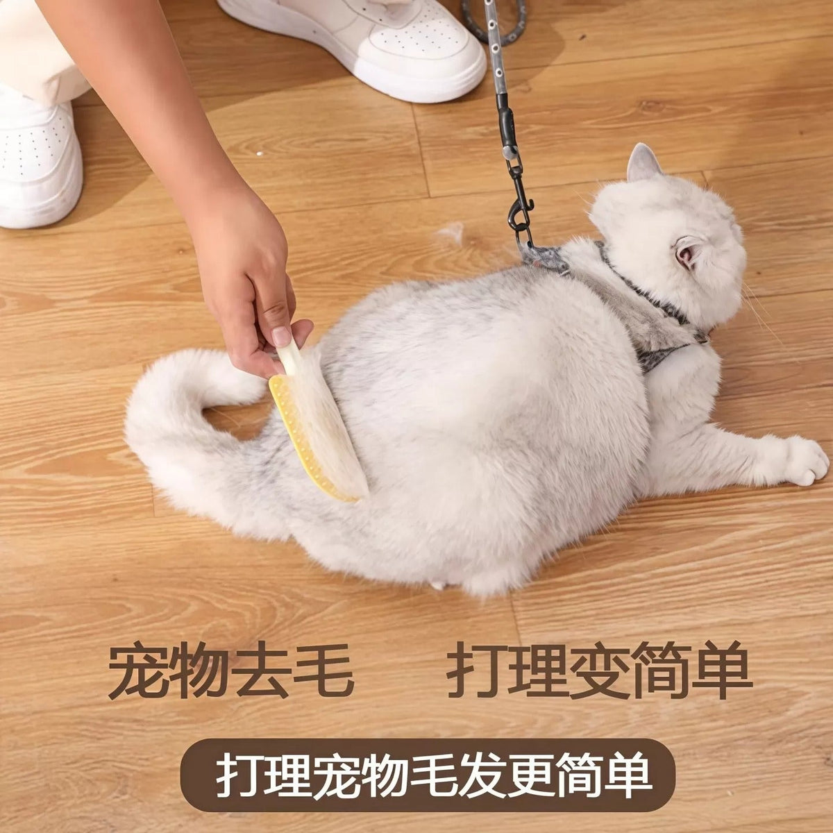 Cat Grooming Brush ( popsicle scrapper )🐱✨